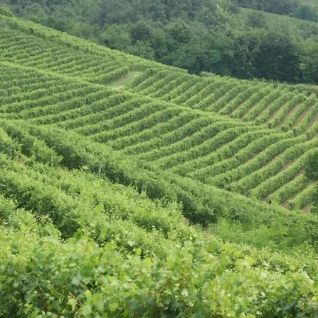 Cascina In Alto Piemonte / Piedmont *